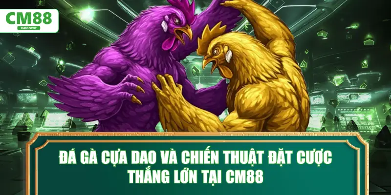 Đá gà cựa dao và chiến thuật đặt cược thắng lớn tại CM88