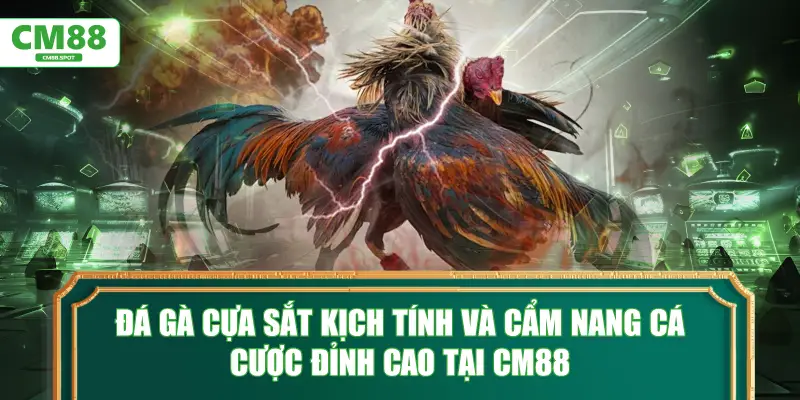 Đá Gà Cựa Sắt kịch tính và cẩm nang cá cược đỉnh cao tại CM88