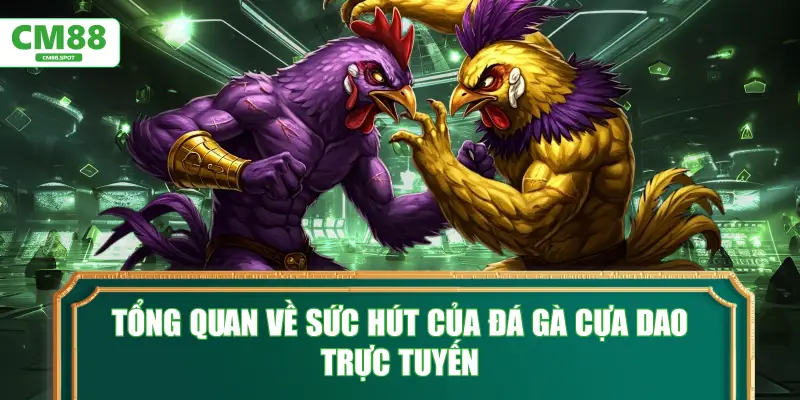 Tổng quan về sức hút của đá gà cựa dao trực tuyến